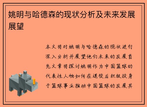 姚明与哈德森的现状分析及未来发展展望